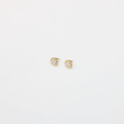 BO036