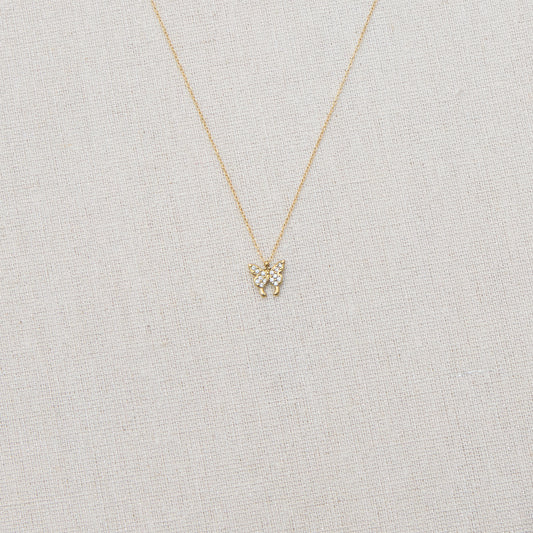 CO008