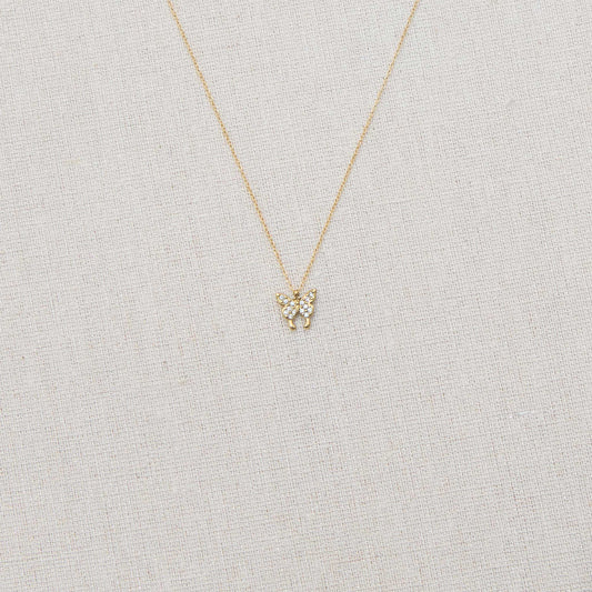 CO001
